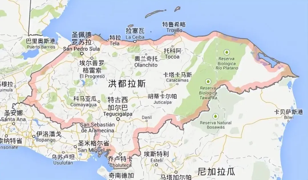 洪都拉斯Montecillos與Los Pinos莊園:COE季軍瑰夏的風味秘密
