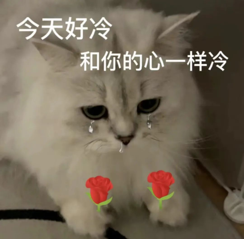 西班牙拿鐵起源揭秘！冰滴與冷萃誰先出現？阿拉比卡命名趣聞