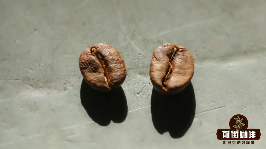 圓豆與平豆差異解析：珠粒咖啡成因、公母豆迷思與價格背後原因