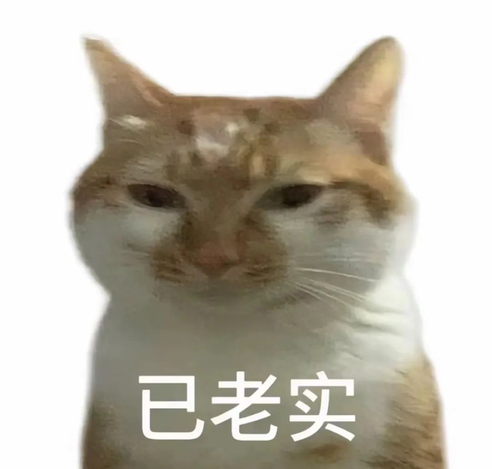 咖啡師必備五款清潔布用途大公開：正確用法與去汙訣竅