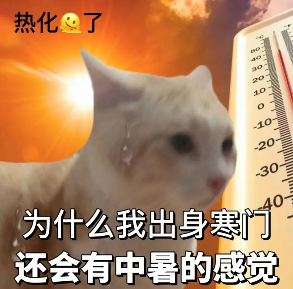瑞幸門市空調16℃冰窖效應解析｜夏日咖啡店避暑與取餐實用指南