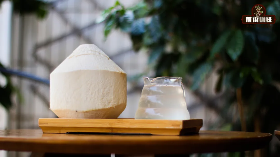 夏日椰香咖啡飲品全攻略：從椰青到厚椰乳的風味差異與DIY做法