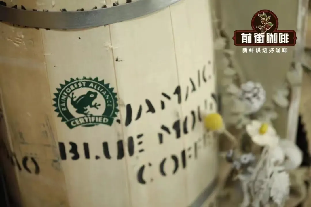 雨林聯盟認證咖啡為何稱青蛙豆？藍山豆風味與認證意義解析