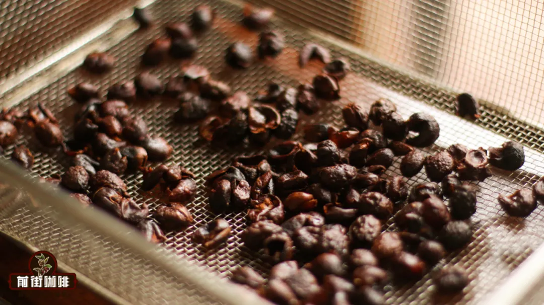 咖啡果皮茶Cascara怎麼泡？從製作到風味、濃度與沖煮技巧全攻略