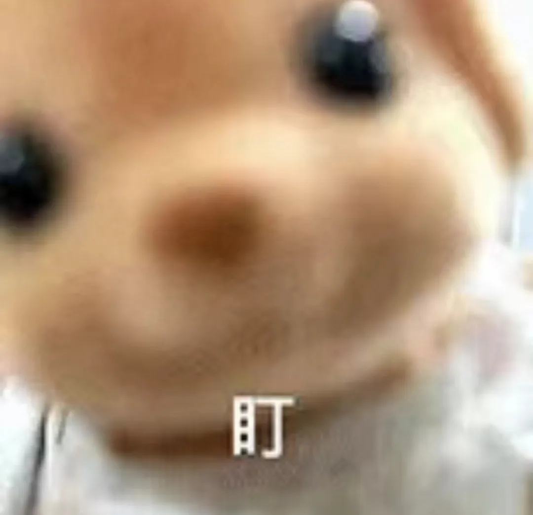 咖啡品鑑杯實測!聞香杯如何提升手沖風味體驗與訓練技巧