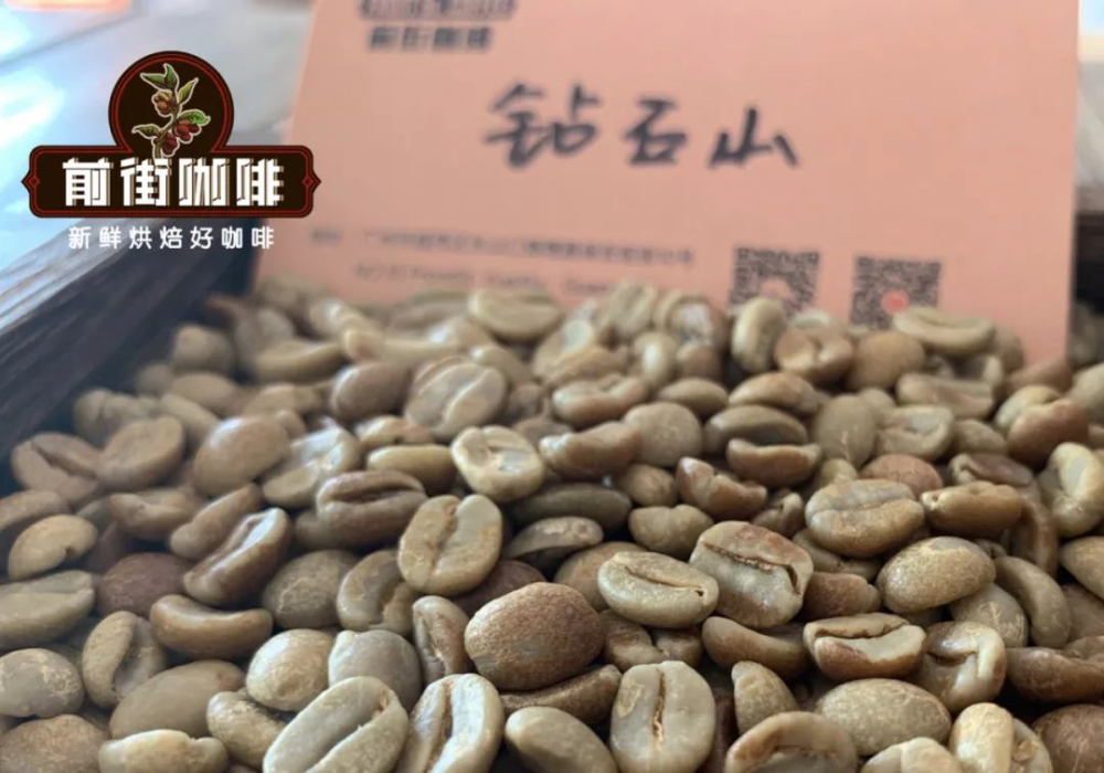 翡翠莊園鑽石山豆深度解析｜巴拿馬高海拔手沖豆選購指南