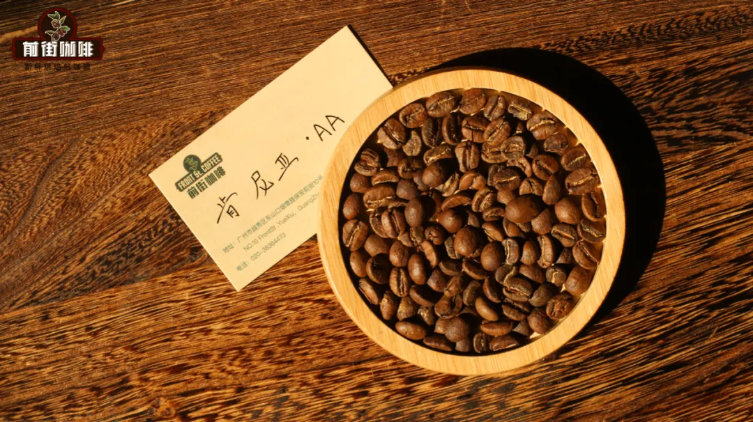 肯亞咖啡AA與AB等級怎麼分?產區風味特色與挑選建議