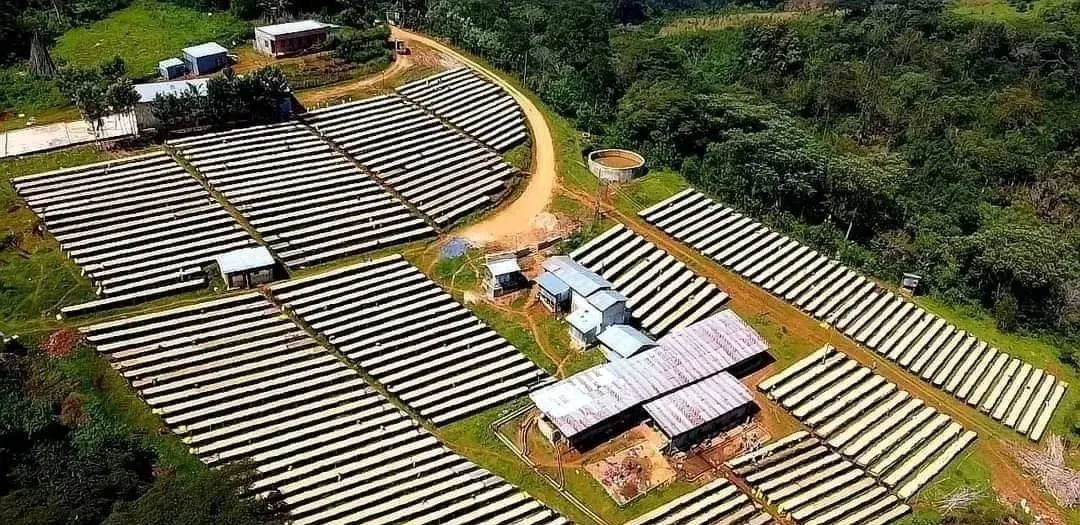 耶加雪菲咖啡全攻略:產區背景、水洗工藝與風味解析