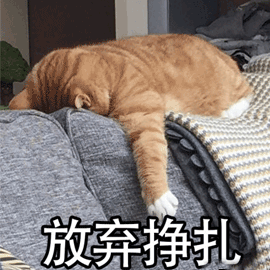 咖啡拉花入門指南:從失敗到精準紋路的實戰技巧