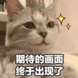 哈利波特×奈雪聯名飲品掀爭議!學院杯周邊盲盒分配不公引粉絲不滿