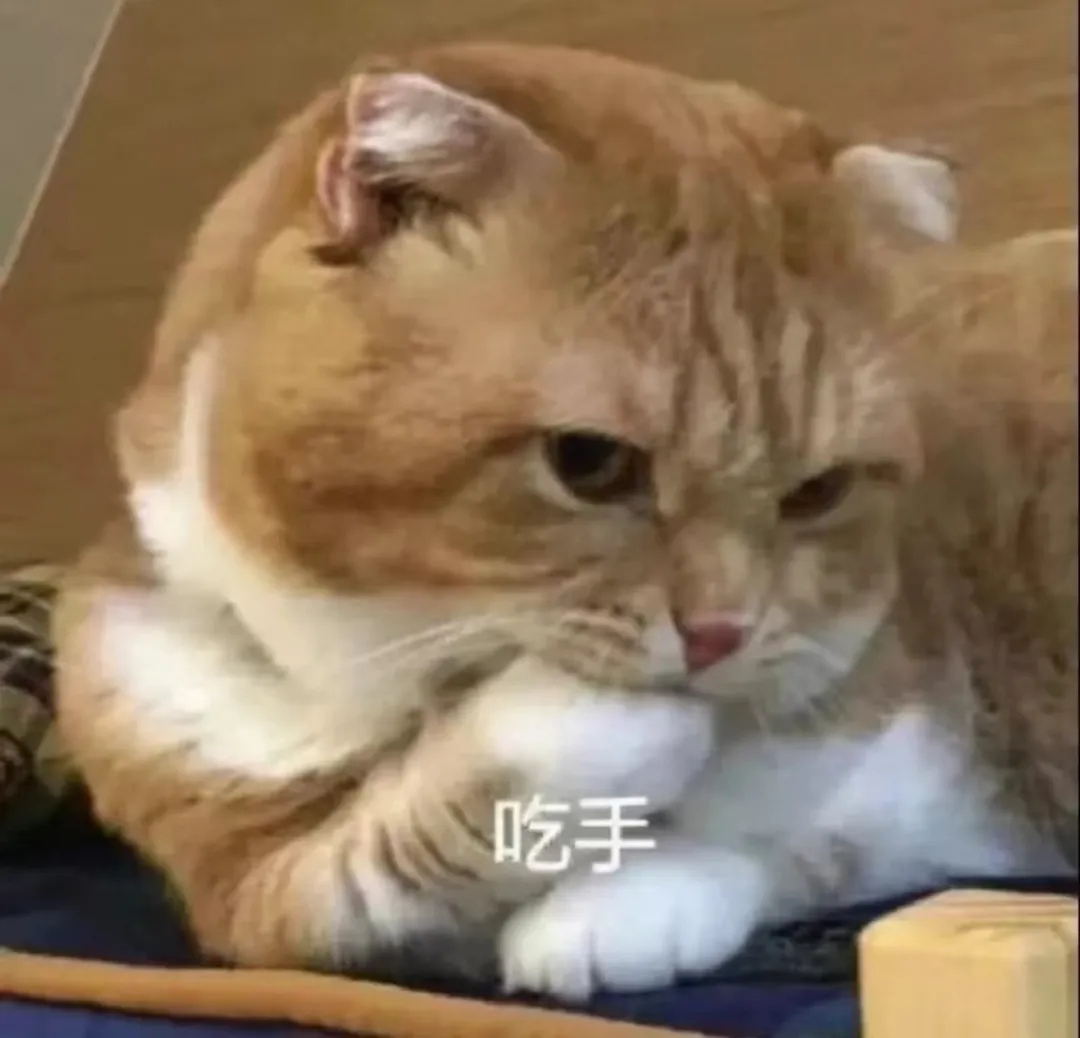 精品咖啡的風土之味是什麼？土壤、氣候、海拔如何影響咖啡風味