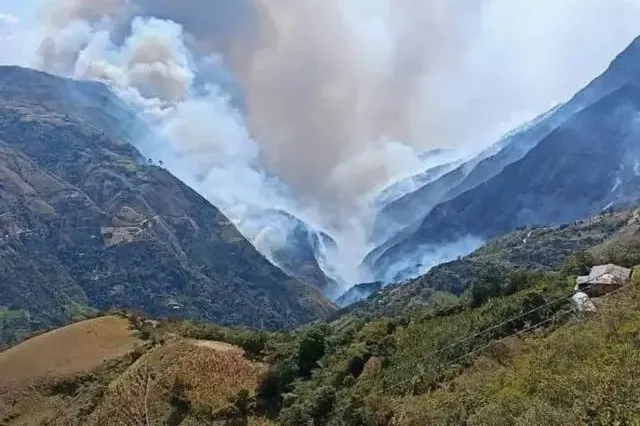 哥倫比亞考卡省山火衝擊咖啡產區 咖啡豆供應與風味潛藏變數