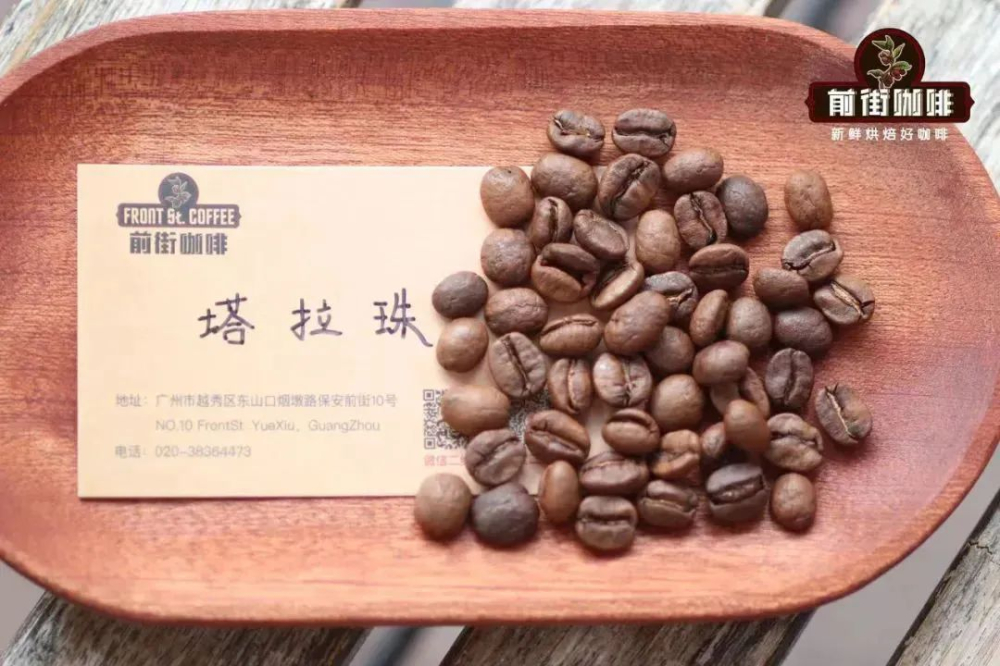 哥斯達黎加塔拉珠與巨石莊園:風味特色與海拔種植解析