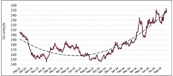 羅布斯塔價格飆漲背後：2024年全球咖啡供應鏈的挑戰與風險