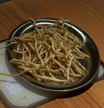 魚腥草美式嘗鮮指南：折耳根咖啡風味解析與兩極評價
