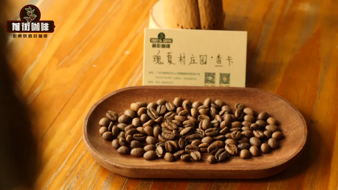 愛樂壓衝煮指南：正壓與反壓萃取方式的原理差異及愛好者偏好解析