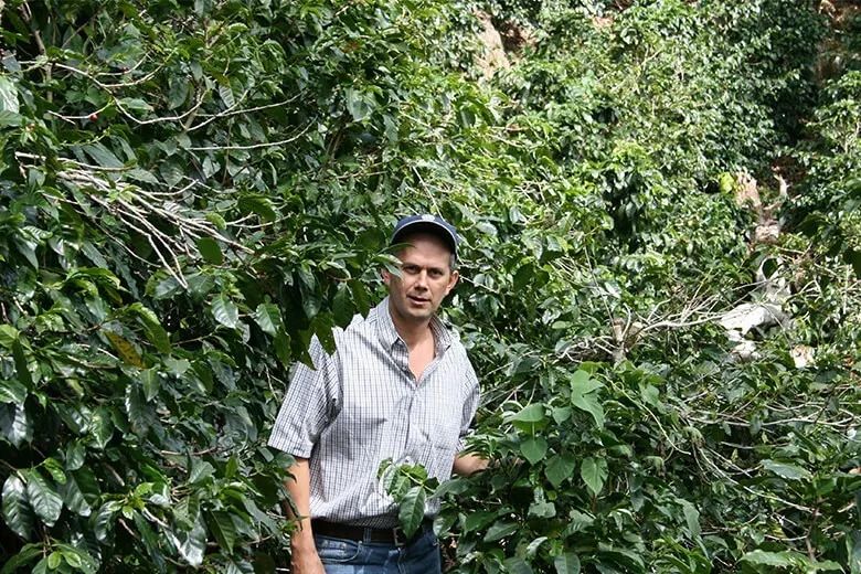 巴拿馬卡託瓦莊園：日曬卡杜拉怎麼沖？風味與萃取參數全解析