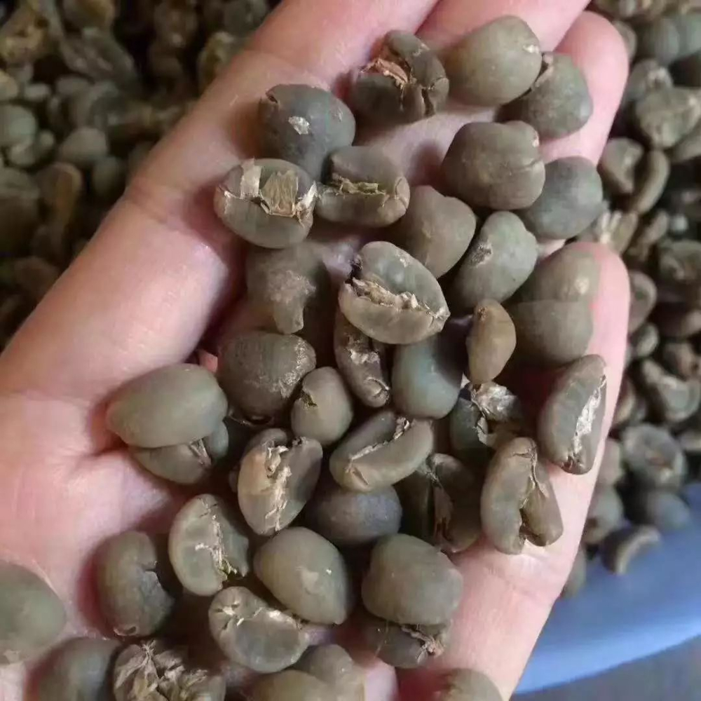 曼巴咖啡豆怎麼搭？曼特寧+巴西波旁拼配風味與沖煮全攻略