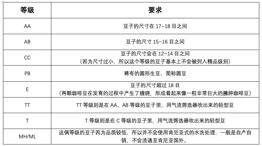 咖啡生豆怎麼分？三大分級法＋肯尼亞特殊標準一次搞懂