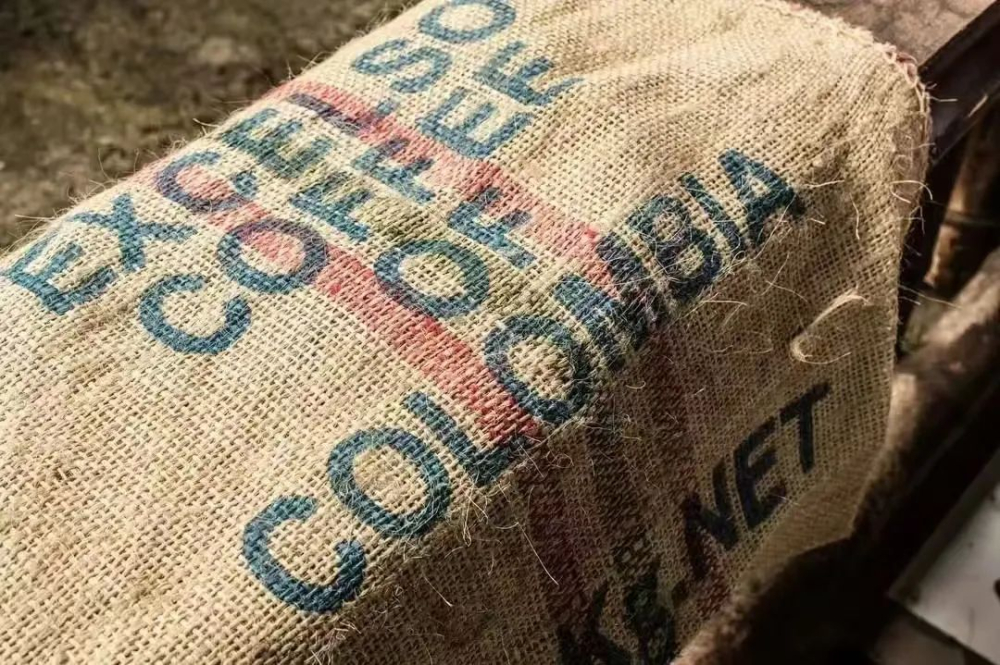 咖啡生豆怎麼分？三大分級法＋肯尼亞特殊標準一次搞懂