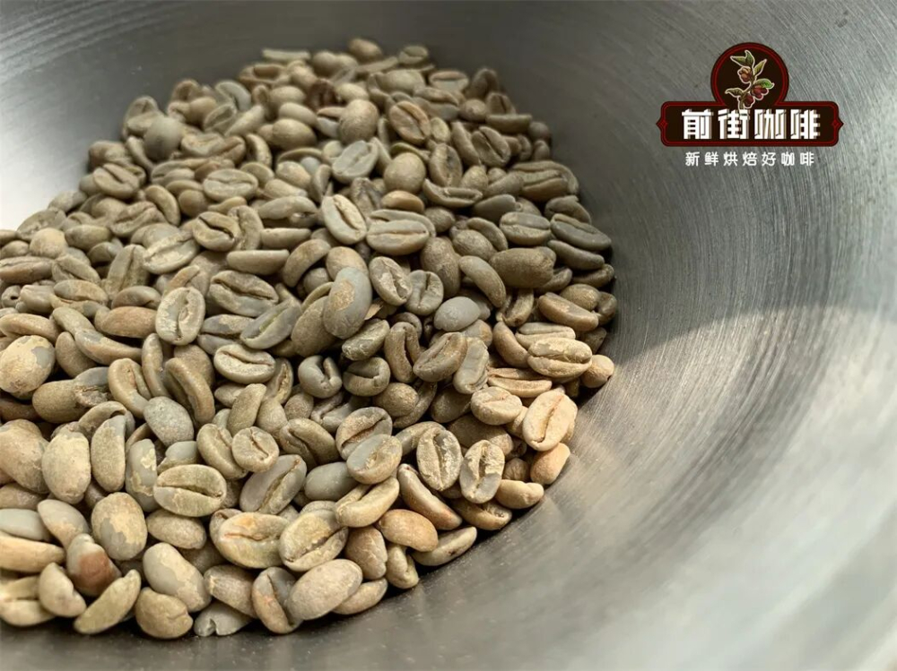 瑰夏咖啡品種全解析：從埃塞俄比亞起源到巴拿馬成名，附前街高性價比瑰夏豆推薦