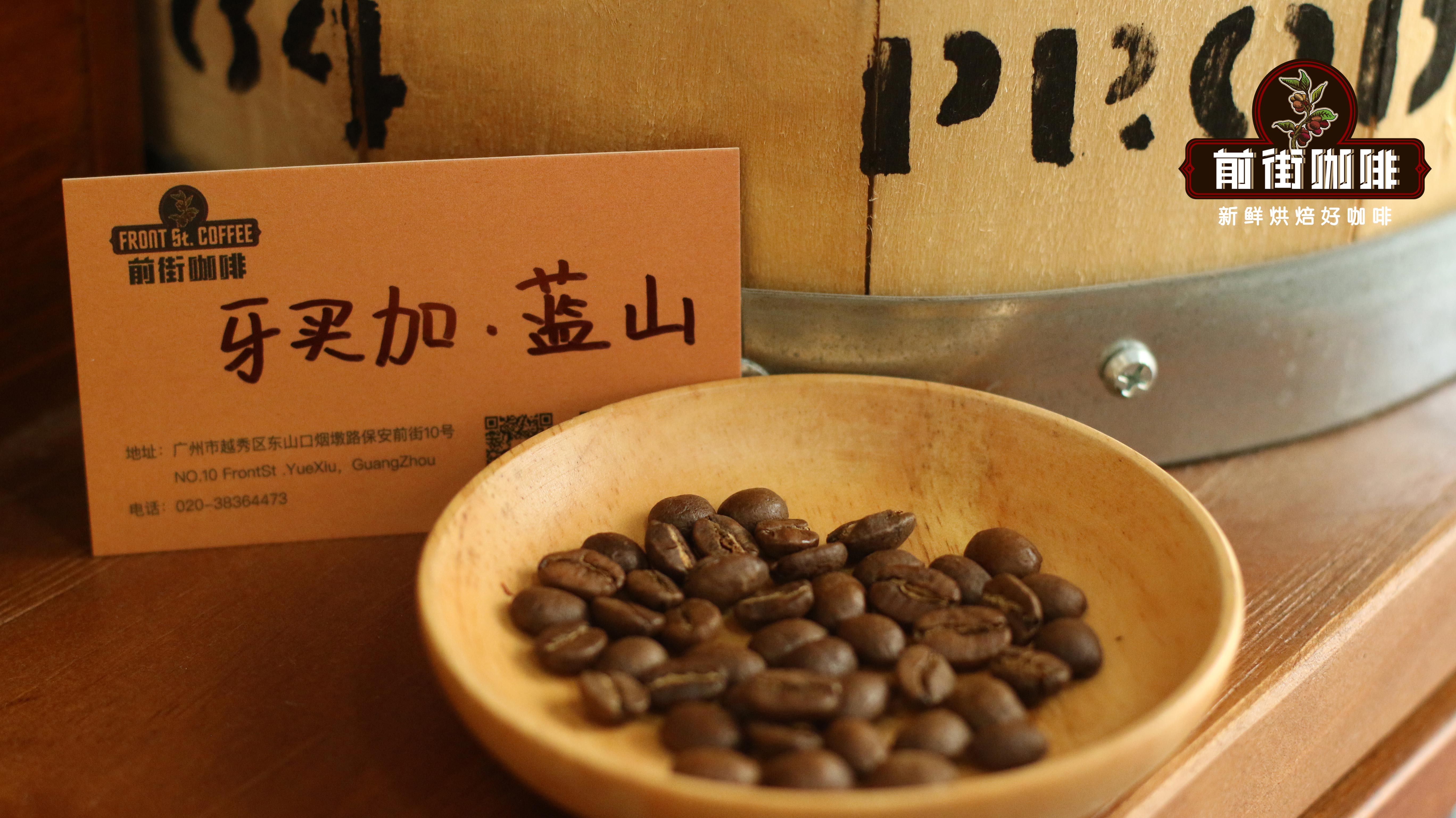 藍山咖啡豆檔次｜正宗藍山一號咖啡豆價格貴嗎？牙買加藍山咖啡風味口感特點研磨度水溫參數 