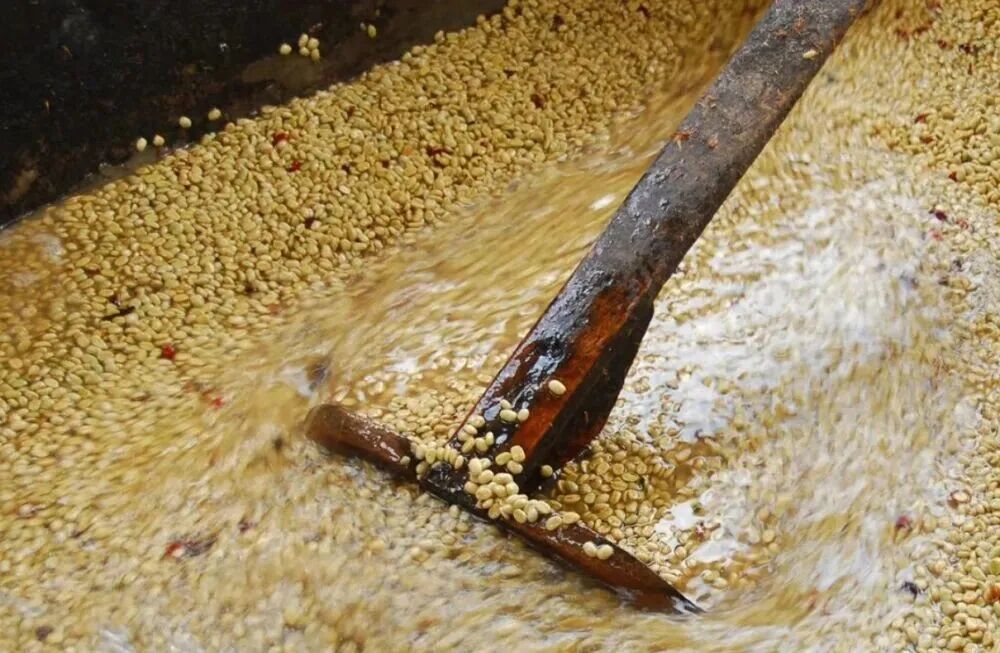非洲、拉美與亞洲三大咖啡產區風味特點及代表豆種全解析