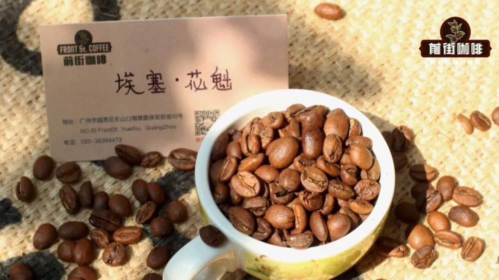 非洲、拉美與亞洲三大咖啡產區風味特點及代表豆種全解析