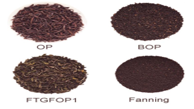 紅茶等級怎麼分？散葉茶與茶包碎葉茶風味差異全解析