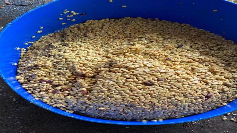 意式豆何時開袋：深烘與中深烘的風味時鐘