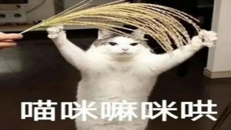意式拼配咖啡全攻略：生熟拼技巧、風味搭配與實戰範例