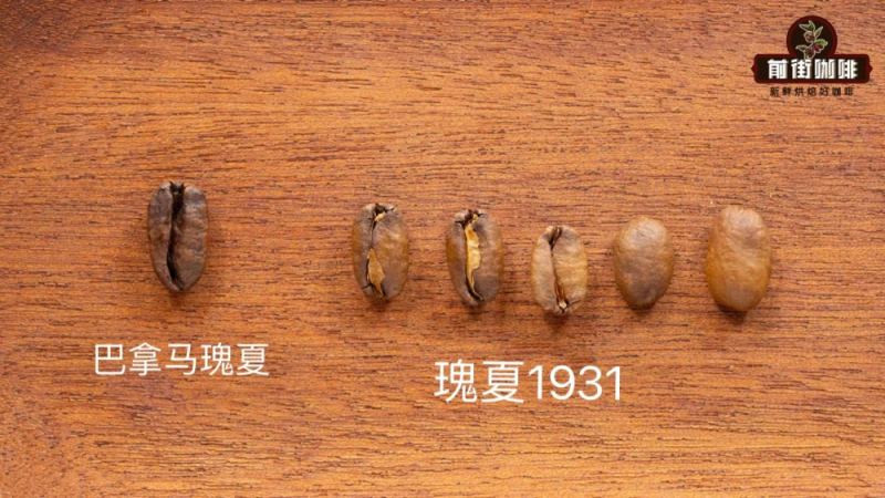 巴拿馬 vs 埃塞俄比亞瑰夏咖啡：產地如何影響風味？手沖與萃取建議