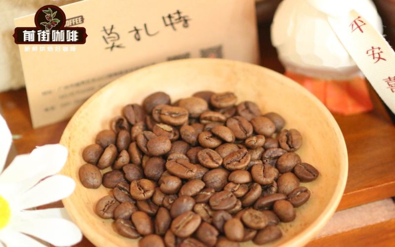 冰滴咖啡由來故事｜低溫萃取的咖啡有哪些風味特點？哪些單品豆拼配豆適合製作冰滴咖啡？