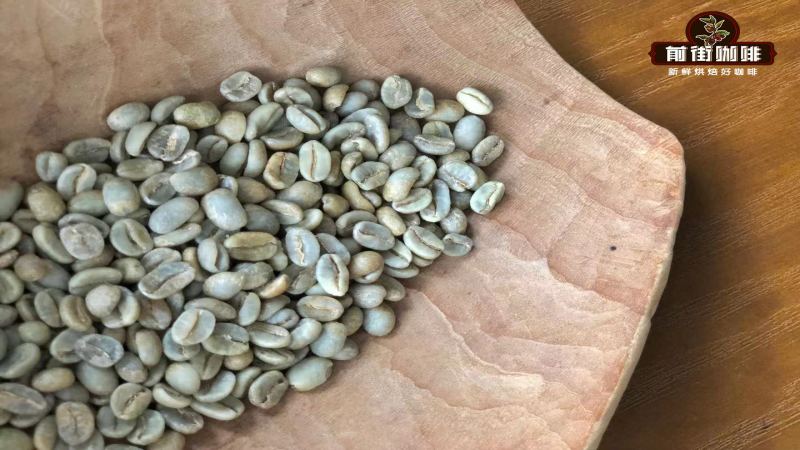 哥倫比亞蕙蘭瑰夏拼配花見豆評測｜風味特點與手沖建議