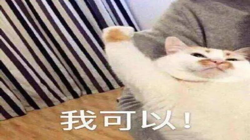 新手手沖咖啡入門：首套器具選購指南與常見地雷避開技巧