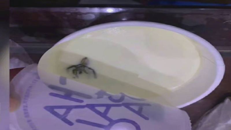 茶百道蟑螂飲品事件解析：食安法索賠與連鎖咖啡風險控管