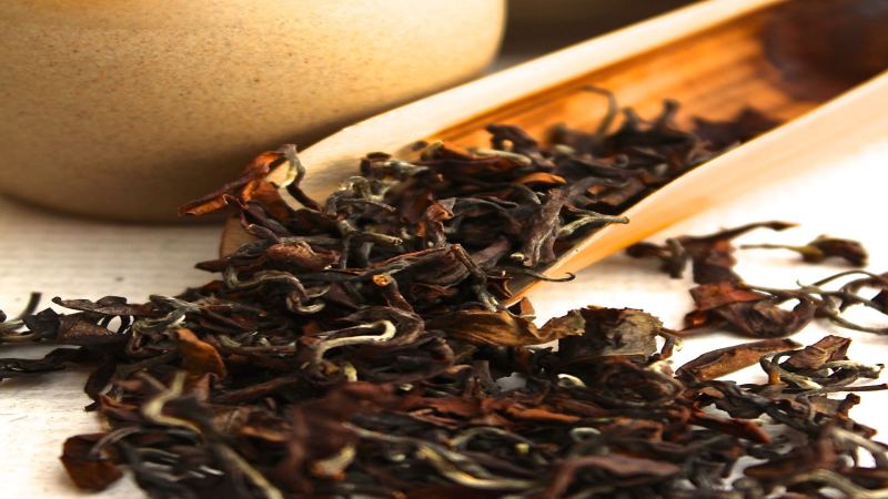 蜜香紅茶怎麼挑？雲南古樹茶與東方美人拼配風味全解析