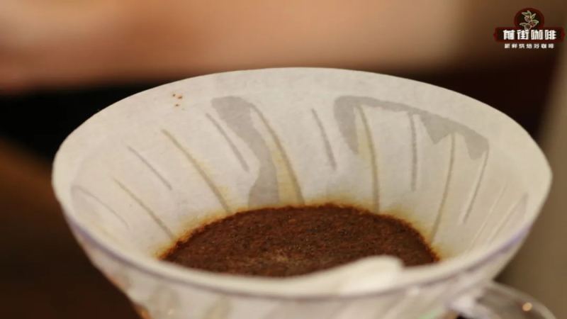 手沖咖啡悶蒸怎麼做？掌握水量、時間與手法提升風味表現