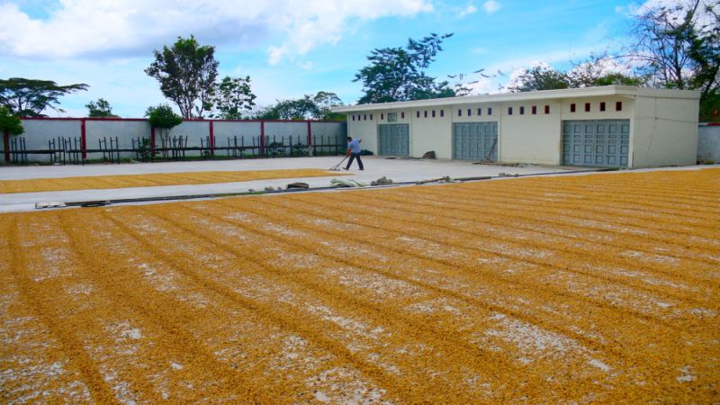 印尼三大產區咖啡深度比較：曼特寧、爪哇與托那加風味解析