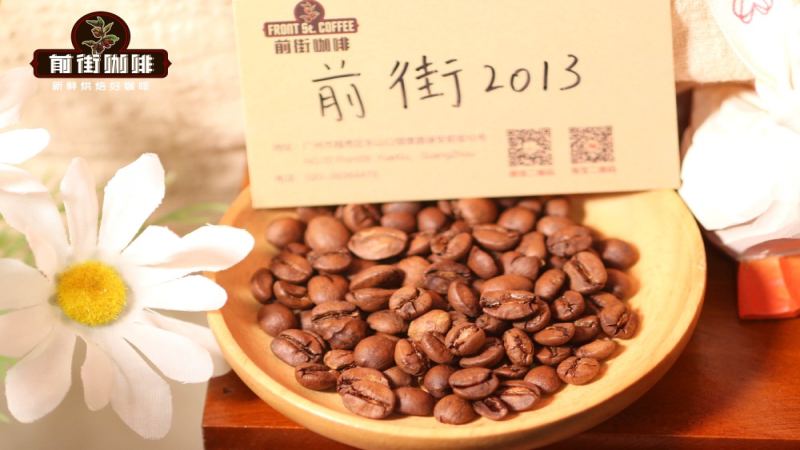 雲南小粒咖啡豆品種全解析：鐵皮卡、波旁與卡蒂姆怎麼選？