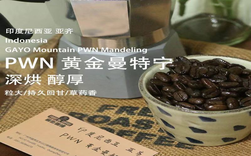 精選印尼曼特寧｜品質最好的曼特寧手衝豆是黃金曼特寧嗎？摩卡壺新手友好的中深烘咖啡單品豆推薦