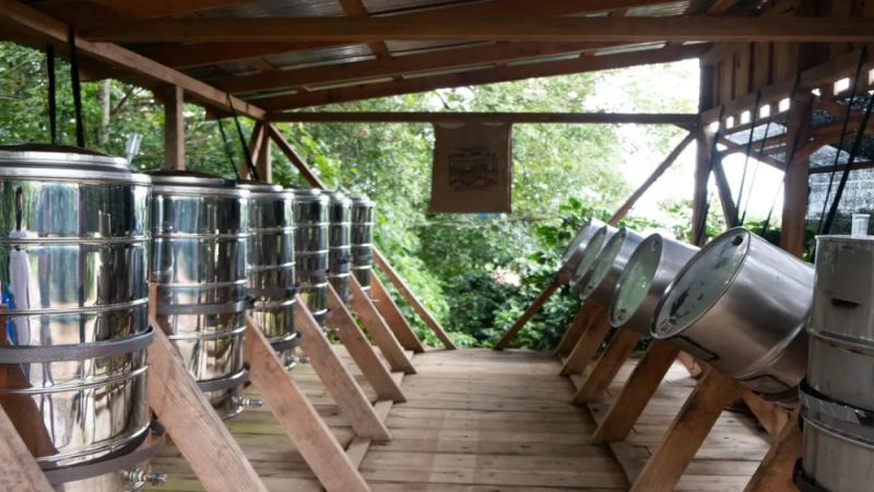 厭氧酵素處理法完整攻略｜香精豆迷思與WBC冠軍觀點解析