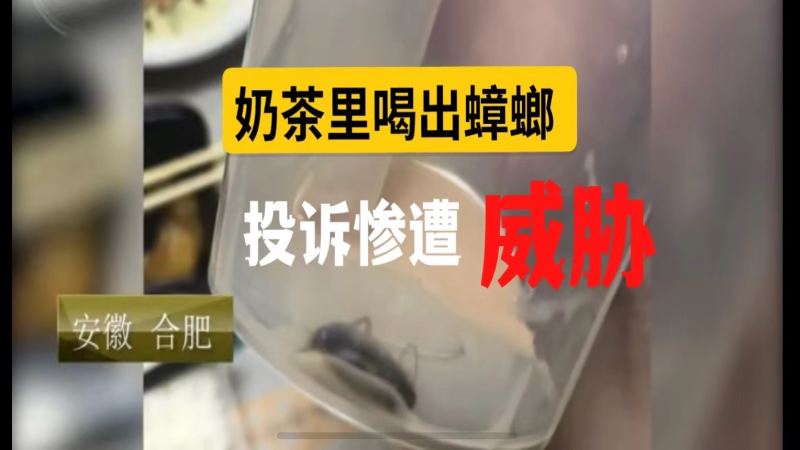 外賣奶茶驚見蟑螂！山寨COCO門店糾紛全解析與維權指南