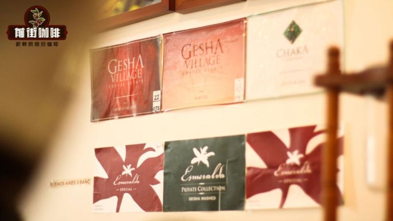 巴拿馬瑰夏咖啡豆怎麼選？從起源到品嚐的完整入門指南