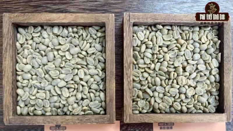 PNG coffee｜巴布亞新幾內咖啡爲何有小藍山之名？西格裏莊園天堂鳥水洗鐵皮卡風味特色是什麼？
