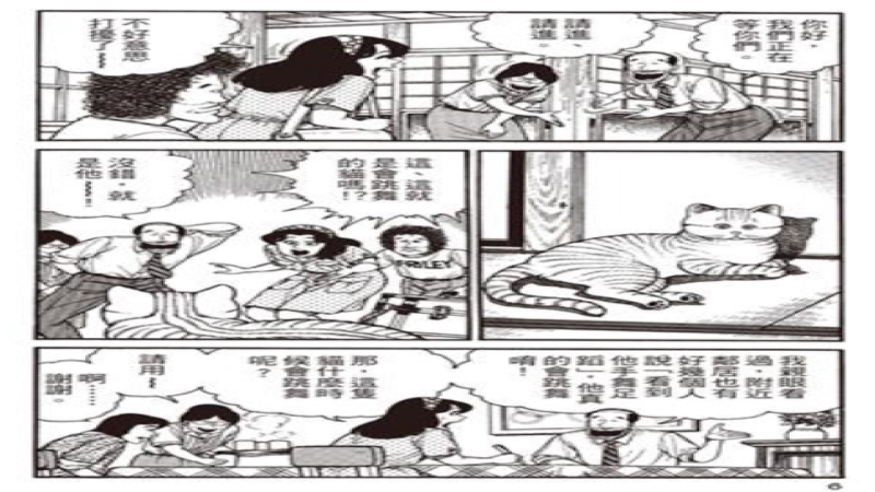 動物咖啡館暗黑面：從貓咖興起到非法野生動物交易的全解析