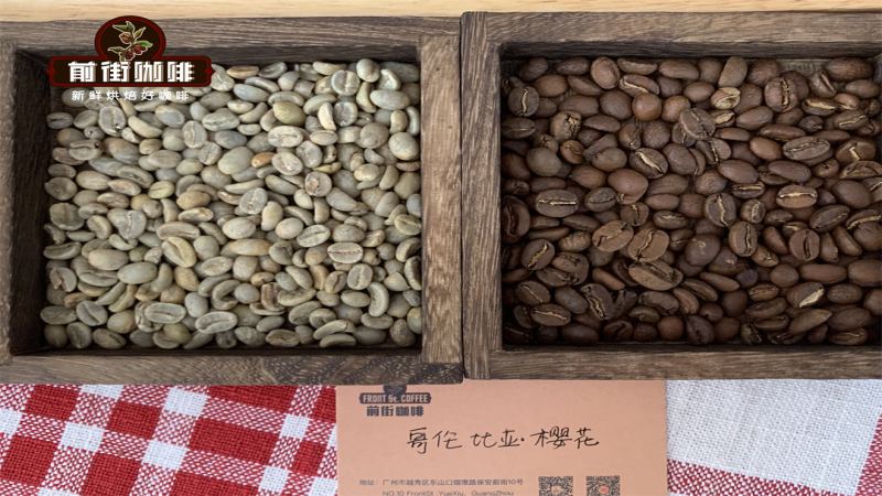 哥倫比亞小農精品咖啡：特殊處理法與手沖風味解析