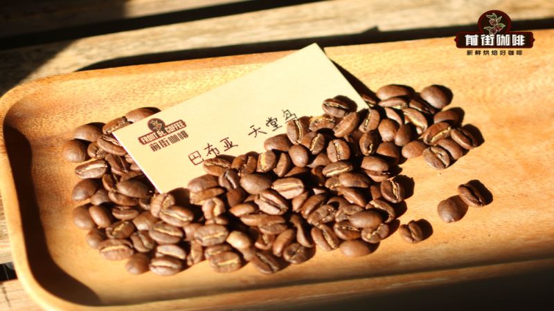 巴布亞新幾內亞天堂鳥咖啡手沖教學：品種起源、處理法與15克粉參數