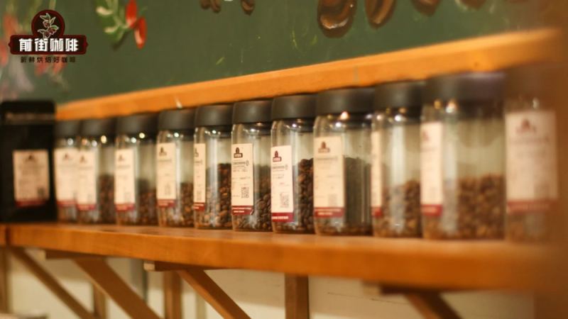 印尼曼特寧豆產地探秘與手沖攻略｜四款經典風味對比