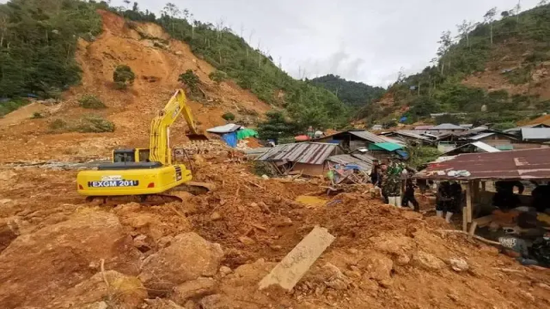 印尼暴雨擾亂咖啡採收！羅布斯塔供應吃緊價格 saline